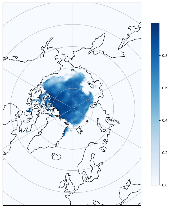 <Figure size 1000x1000 with 2 Axes>