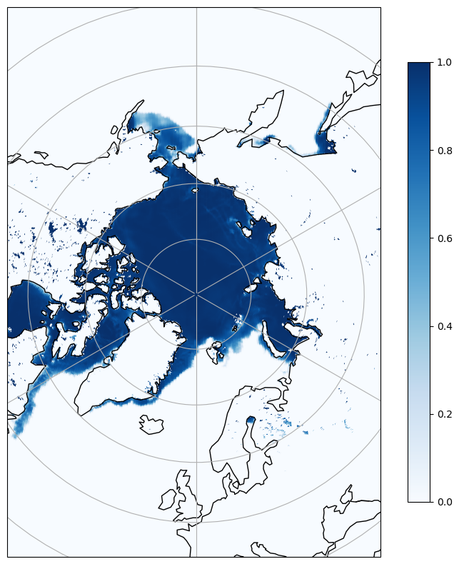 <Figure size 1000x1000 with 2 Axes>