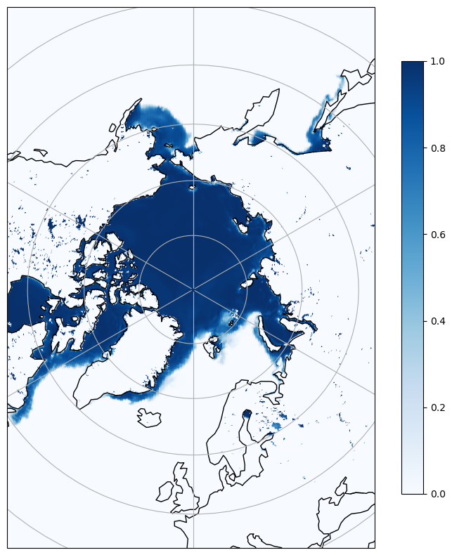 <Figure size 1000x1000 with 2 Axes>